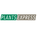 Plantsexpress.com